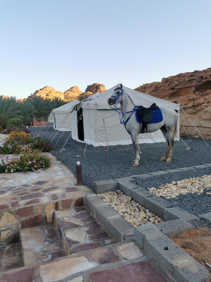 Rural Tents Naseem الخيمةالريفيةalouzaib อาลูลา ภายนอก รูปภาพ